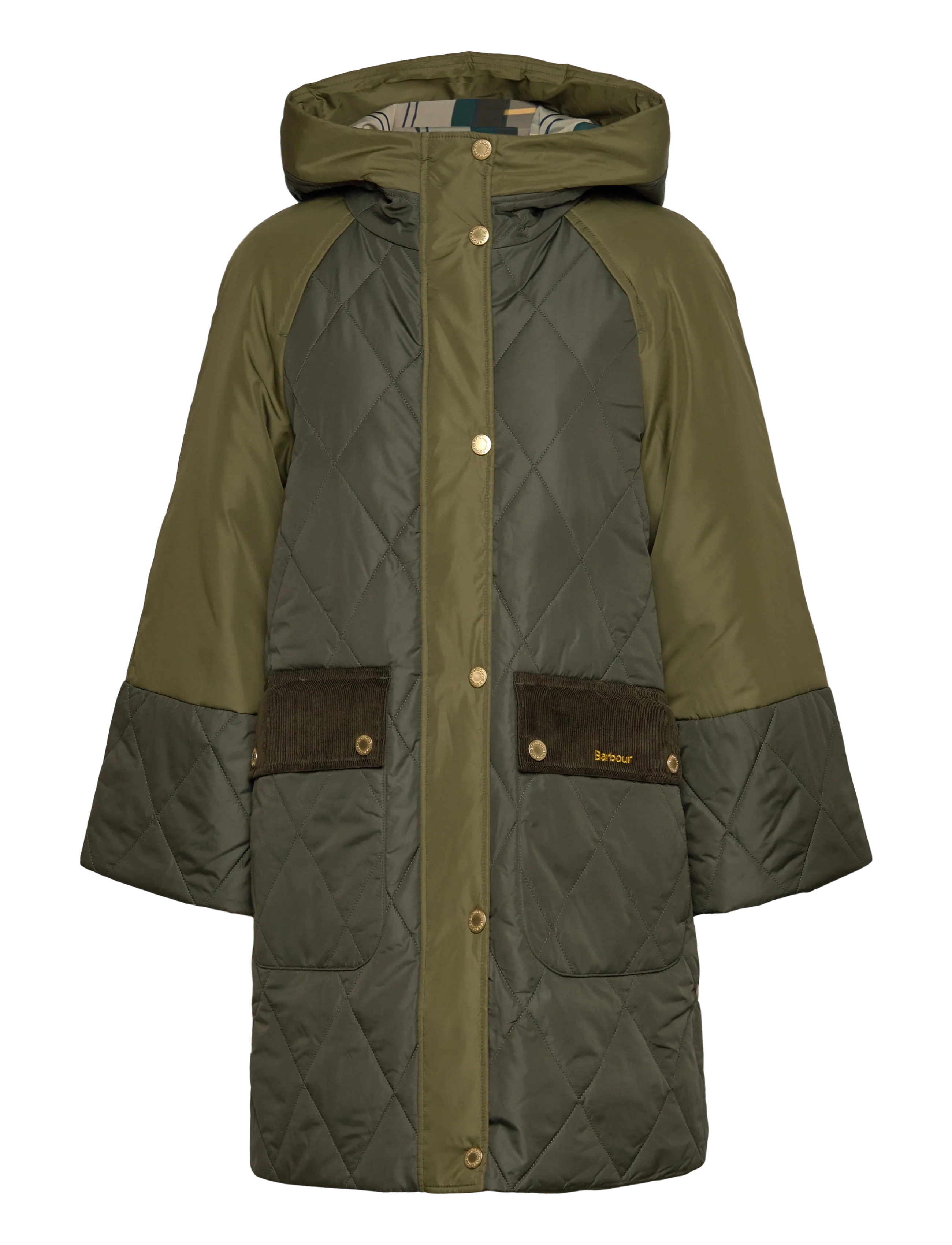 OLIVE