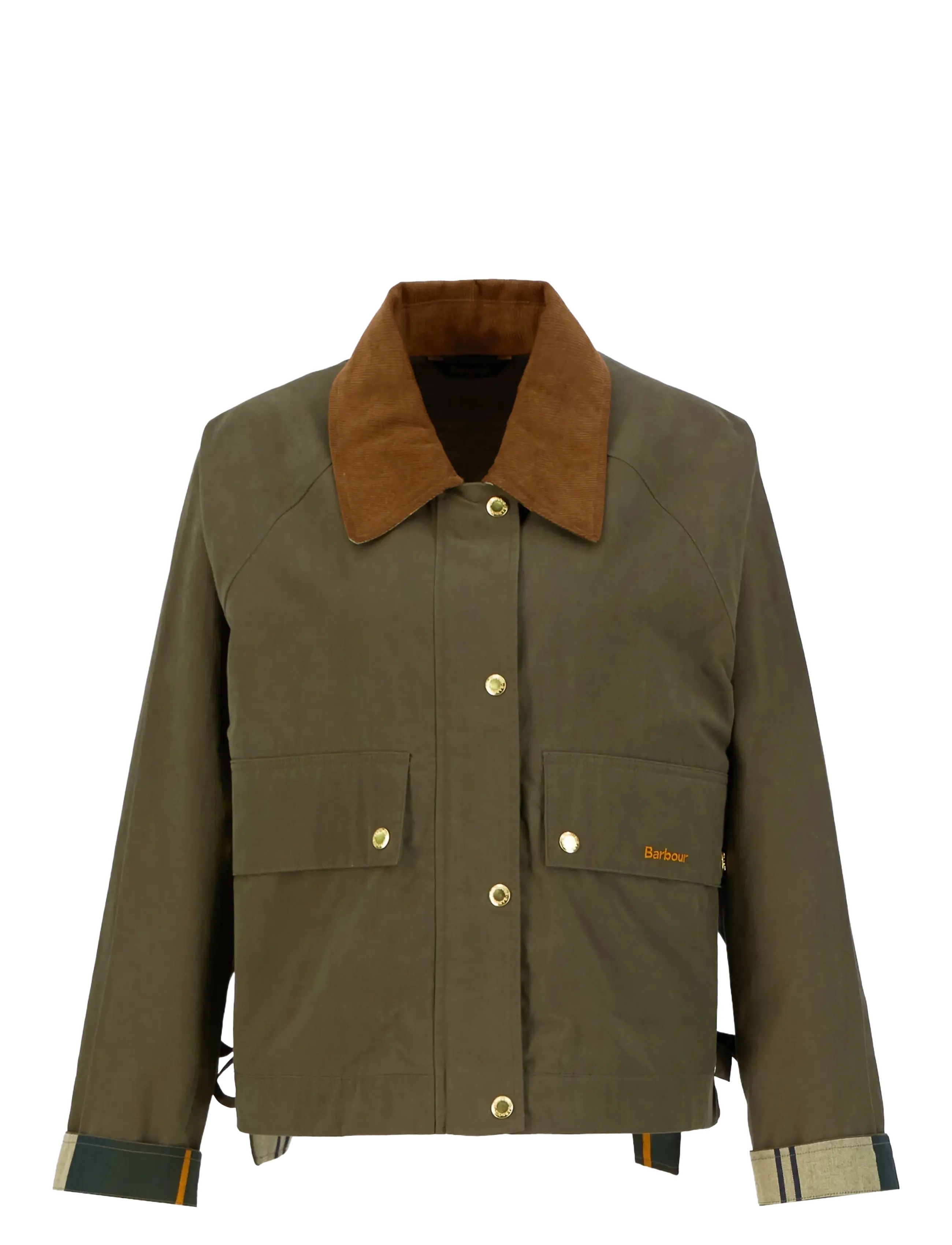 IVY GREEN/ANCIE