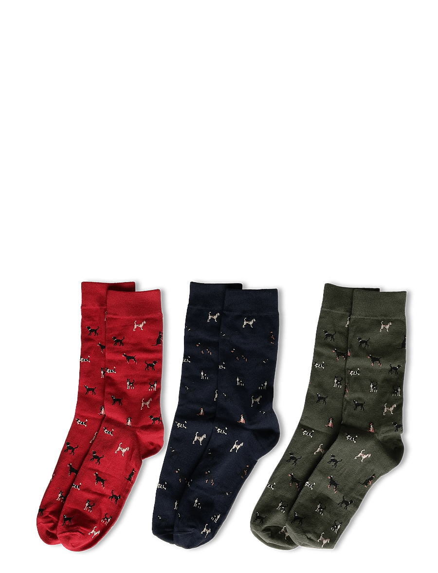 Barbour - Barbour Dog Sock Gift Set - navy/red/green - 1