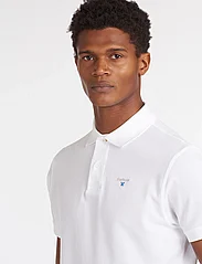Barbour - Barbour Sports Polo JASMINE - podstawowe koszulki - white - 3