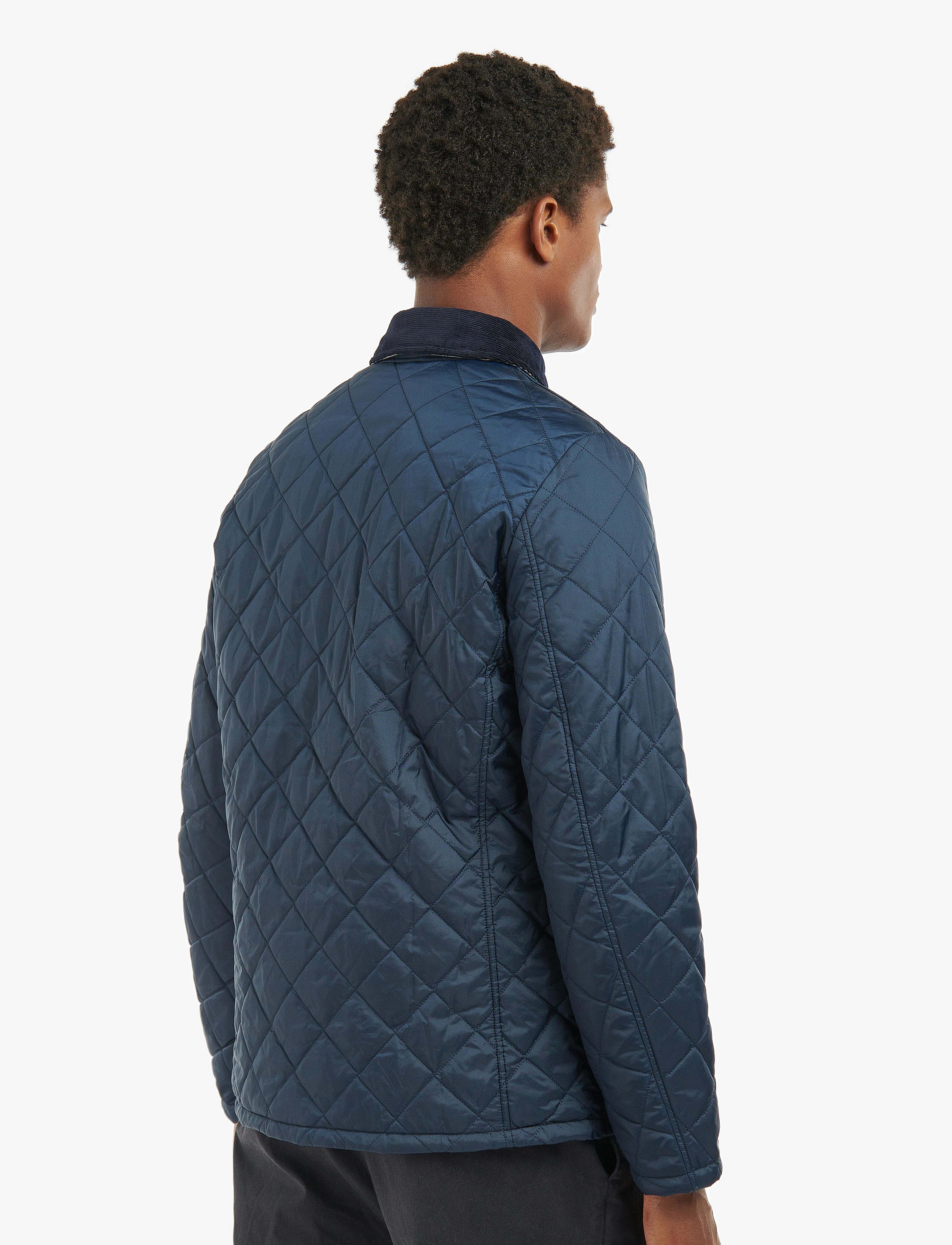 Barbour - Barbour Crested Herron - navy/summer ivy - 3
