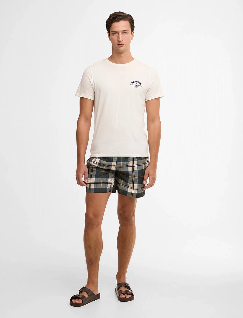 Barbour - Barbour Staple Ttn Swi - casual shorts - ancient tartan - 3
