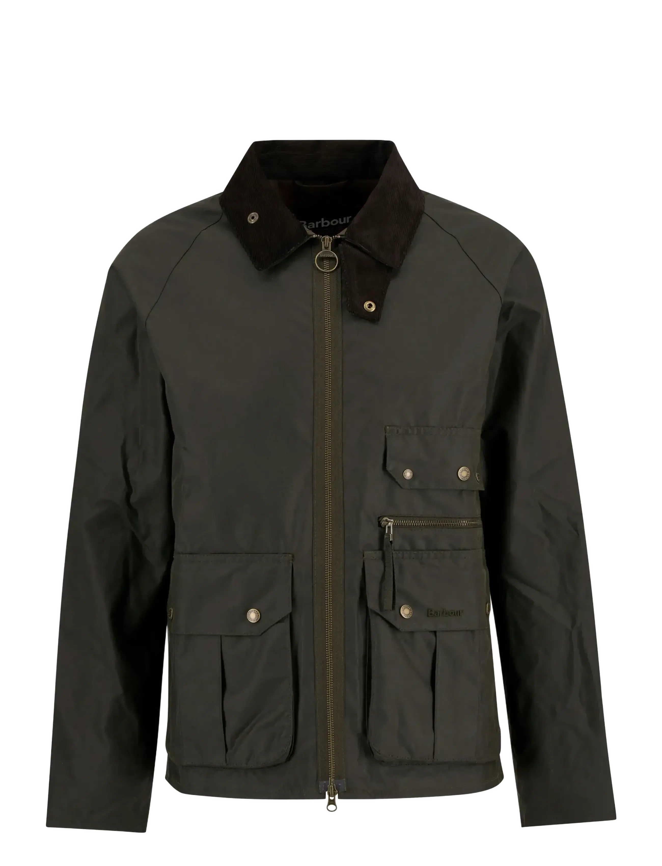 ARCHIVE OLIVE