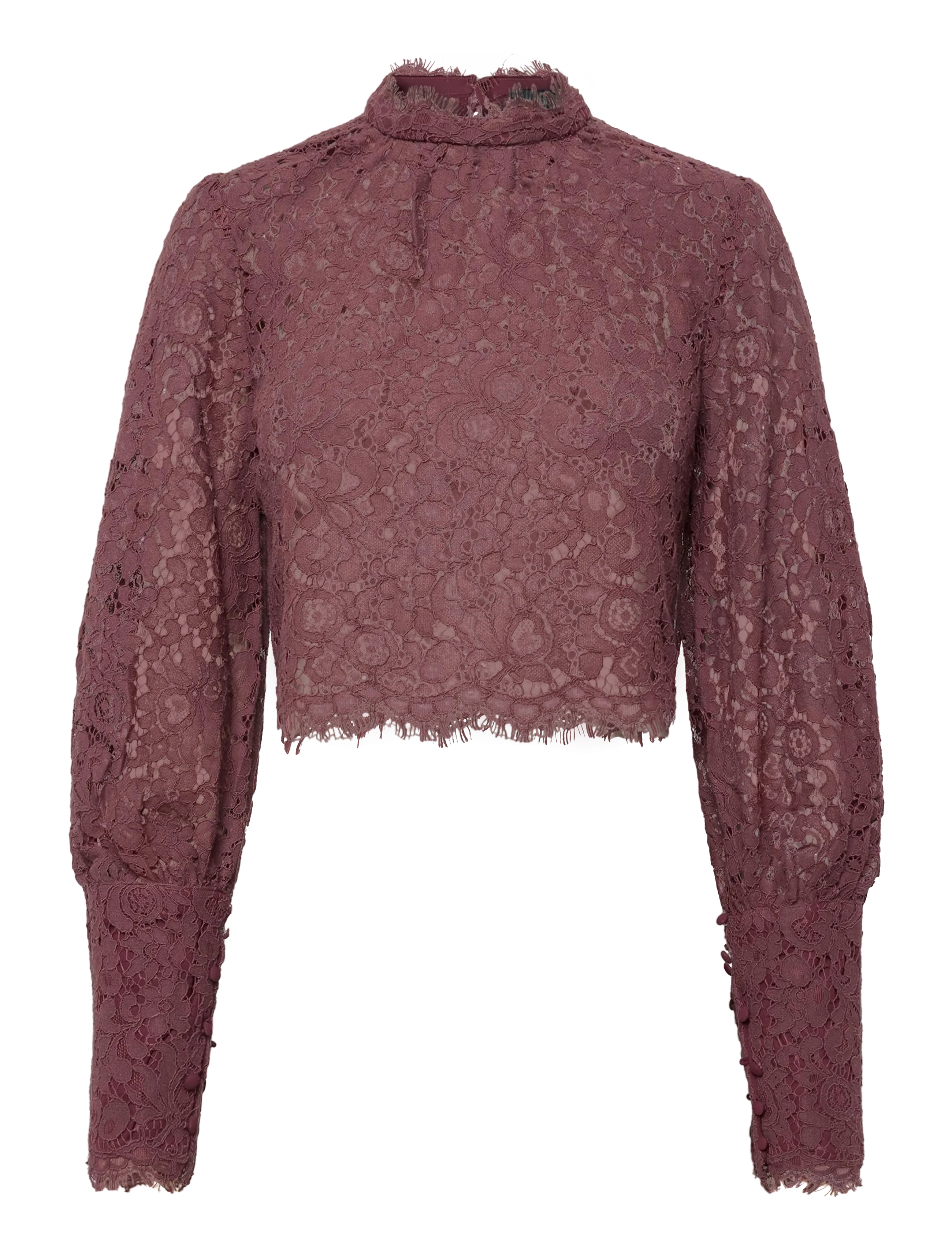 Bardot LACE GEORGIA TOP - Tøj - DEEP PLUM / burgundy