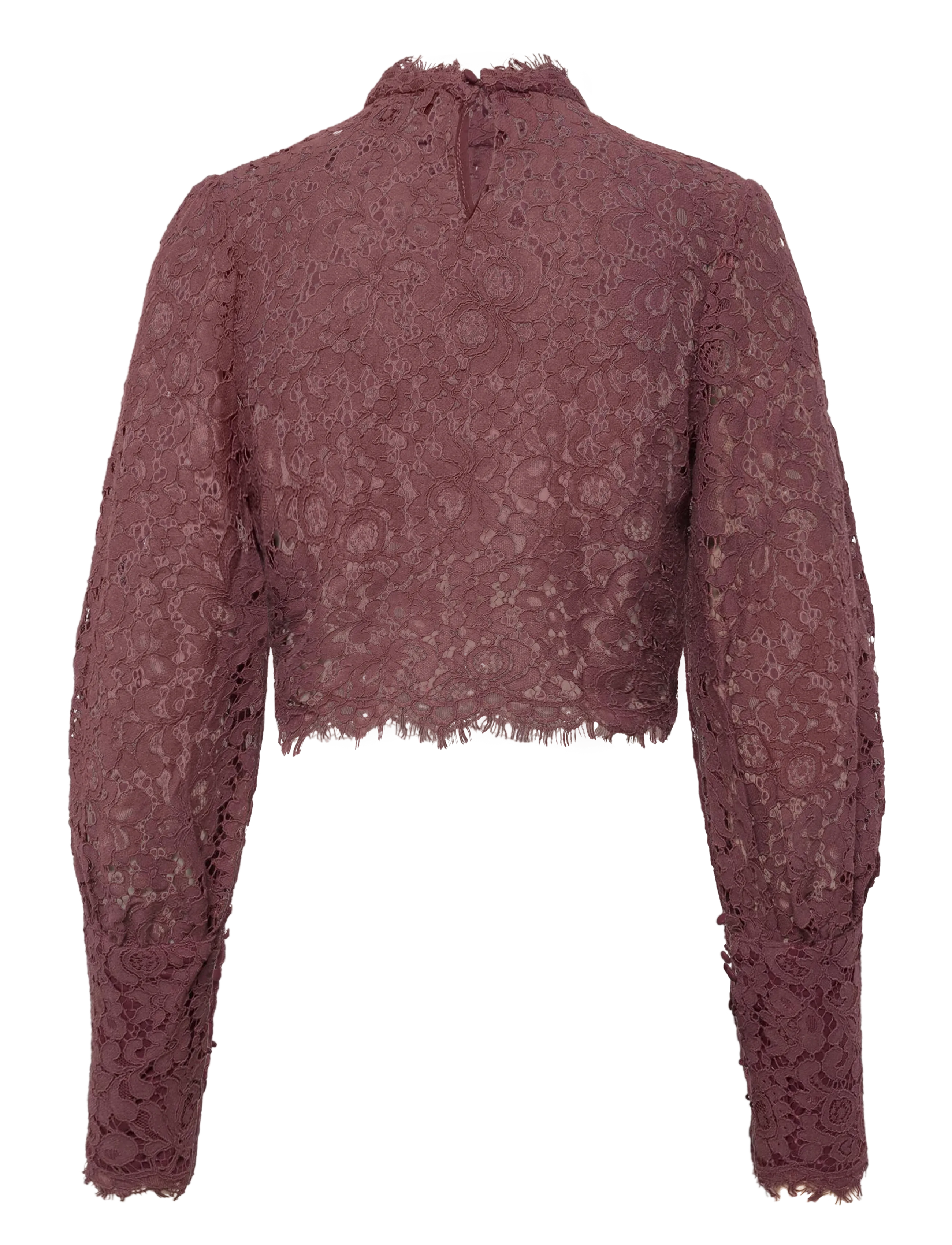 Bardot - LACE GEORGIA TOP - langærmede bluser - deep plum - 1