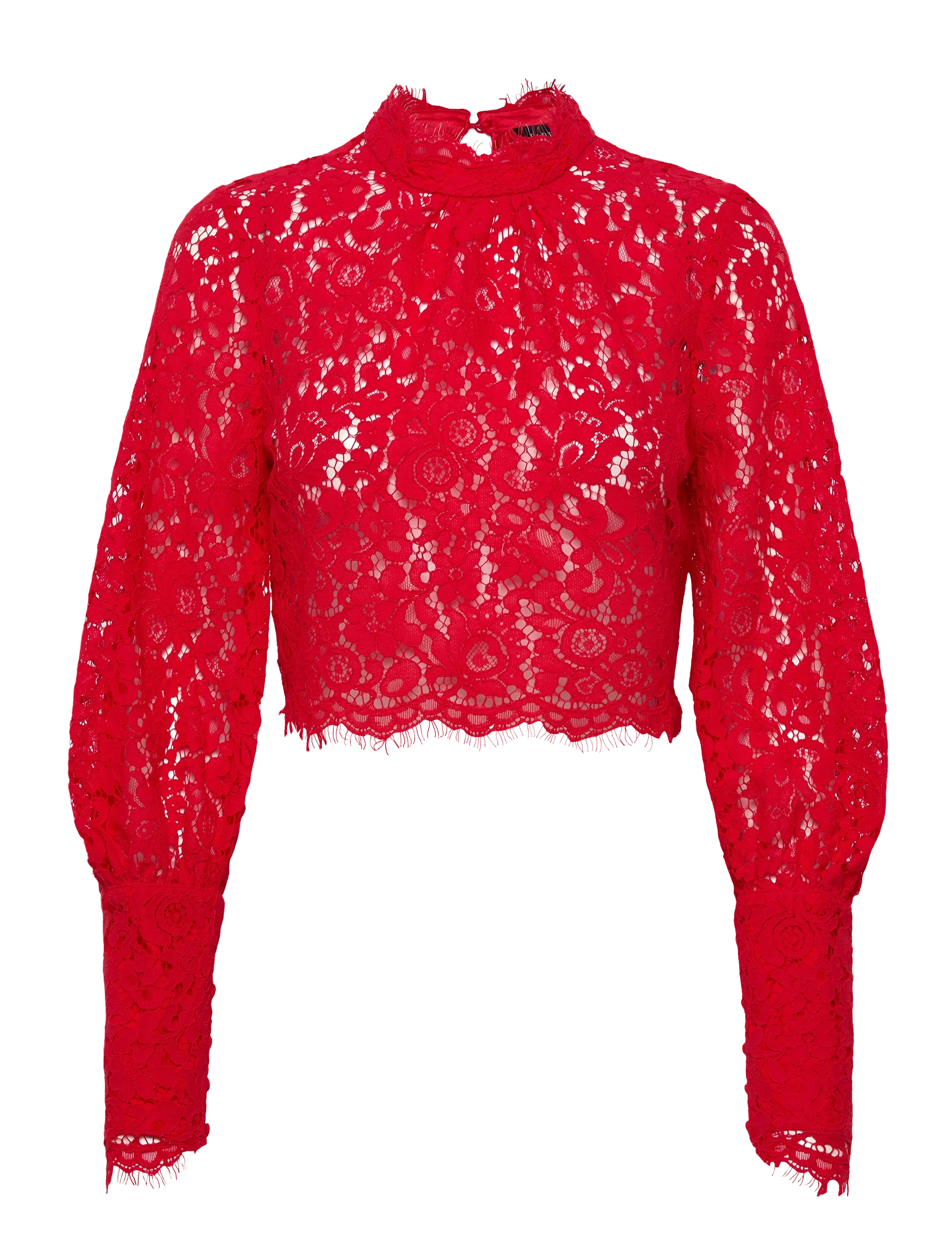 Bardot LACE GEORGIA TOP - Bluser - FIRE RED / red