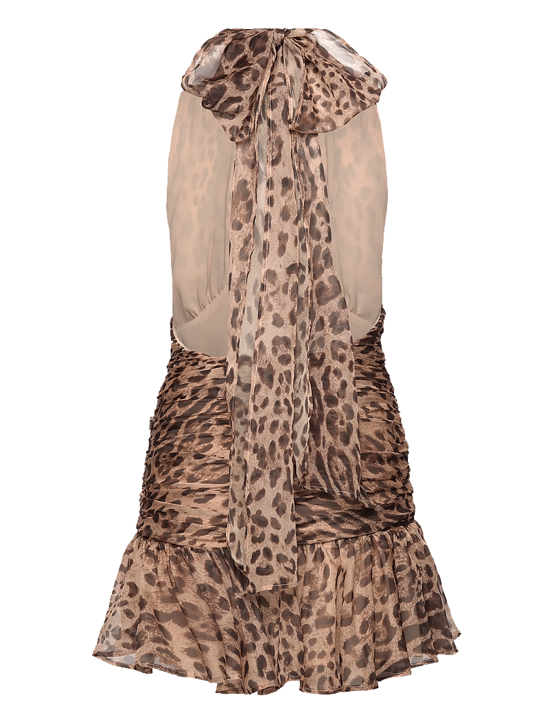 Bardot Mave Halter Neck Mini Dress korta klnningar shoppa p Booztlet Bardot Mave Halter Neck Mini Dress korta klnningar shoppa p Booztlet
