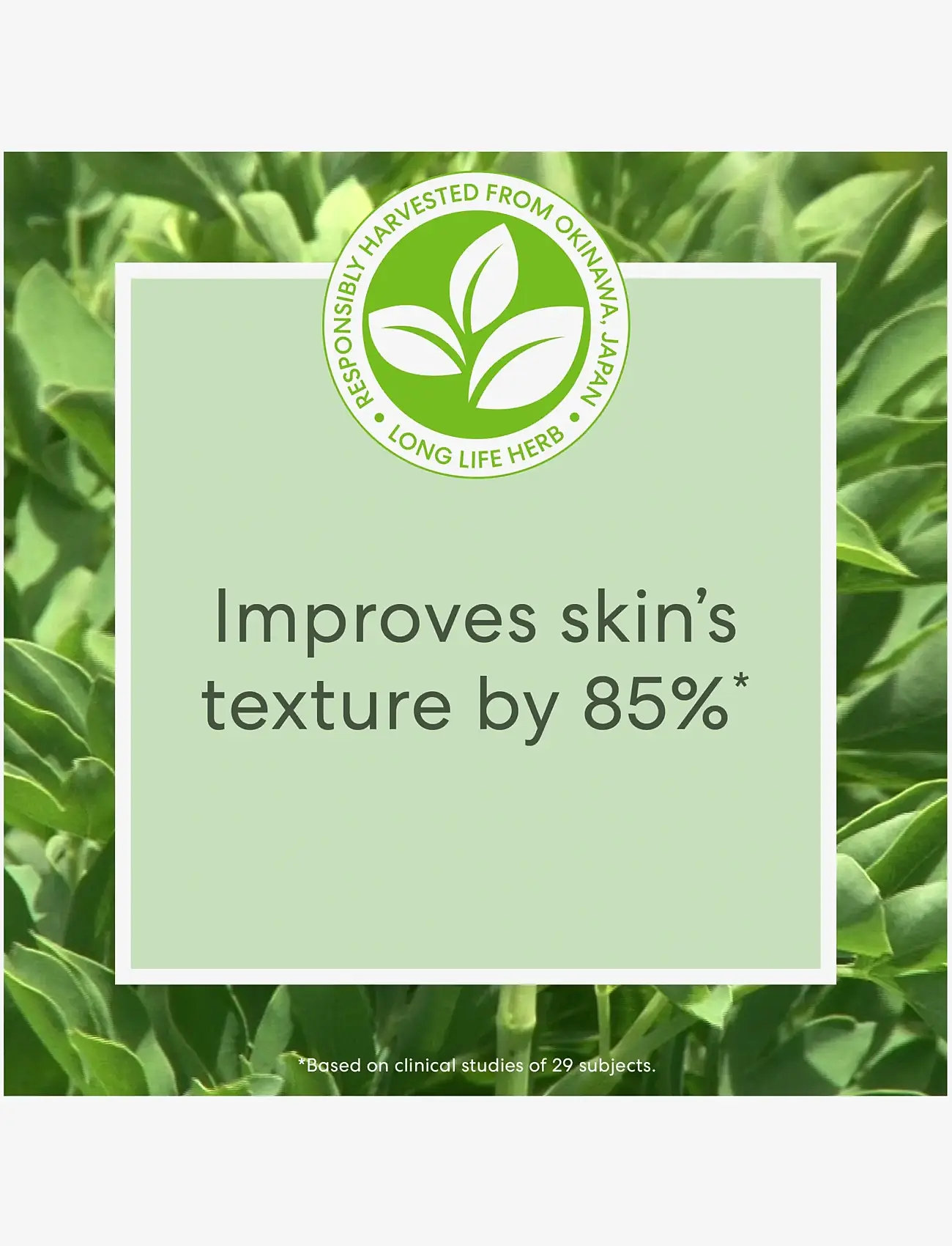 bareMinerals - Skinlongevity Skinlongevity long life herb night treatment - no colour - 3