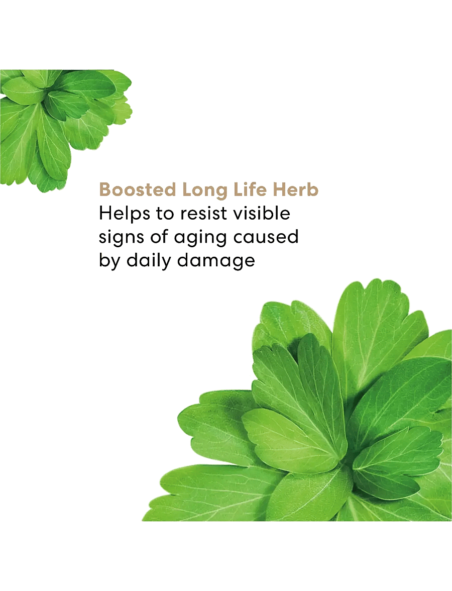 bareMinerals - Skinlongevity Skinlongevity long life herb night treatment - no colour - 4