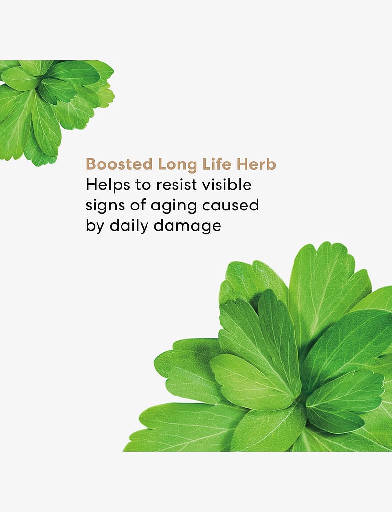 bareMinerals - Skinlongevity Skinlongevity long life herb eye treatment - no colour - 4