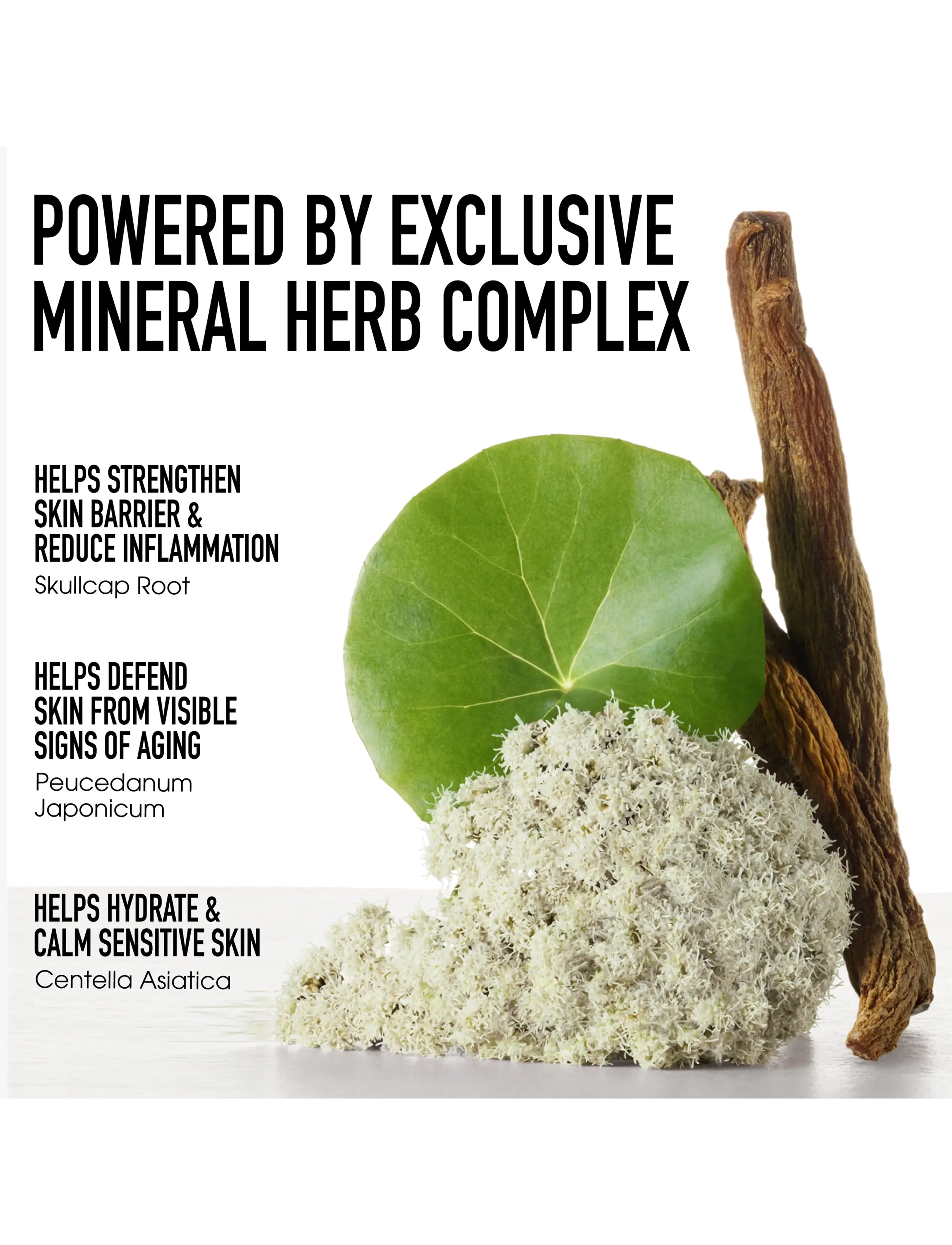bareMinerals - Skinlongevity Hydration Haven gel cream 50 gr - dagkräm - no color - 5