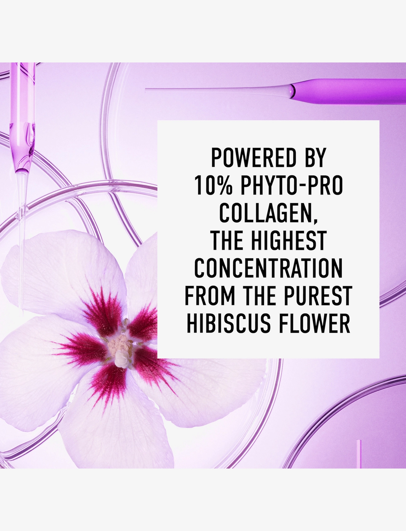 bareMinerals - Phyto Collagen Phyto pro collagen face cream - 1018 - 3