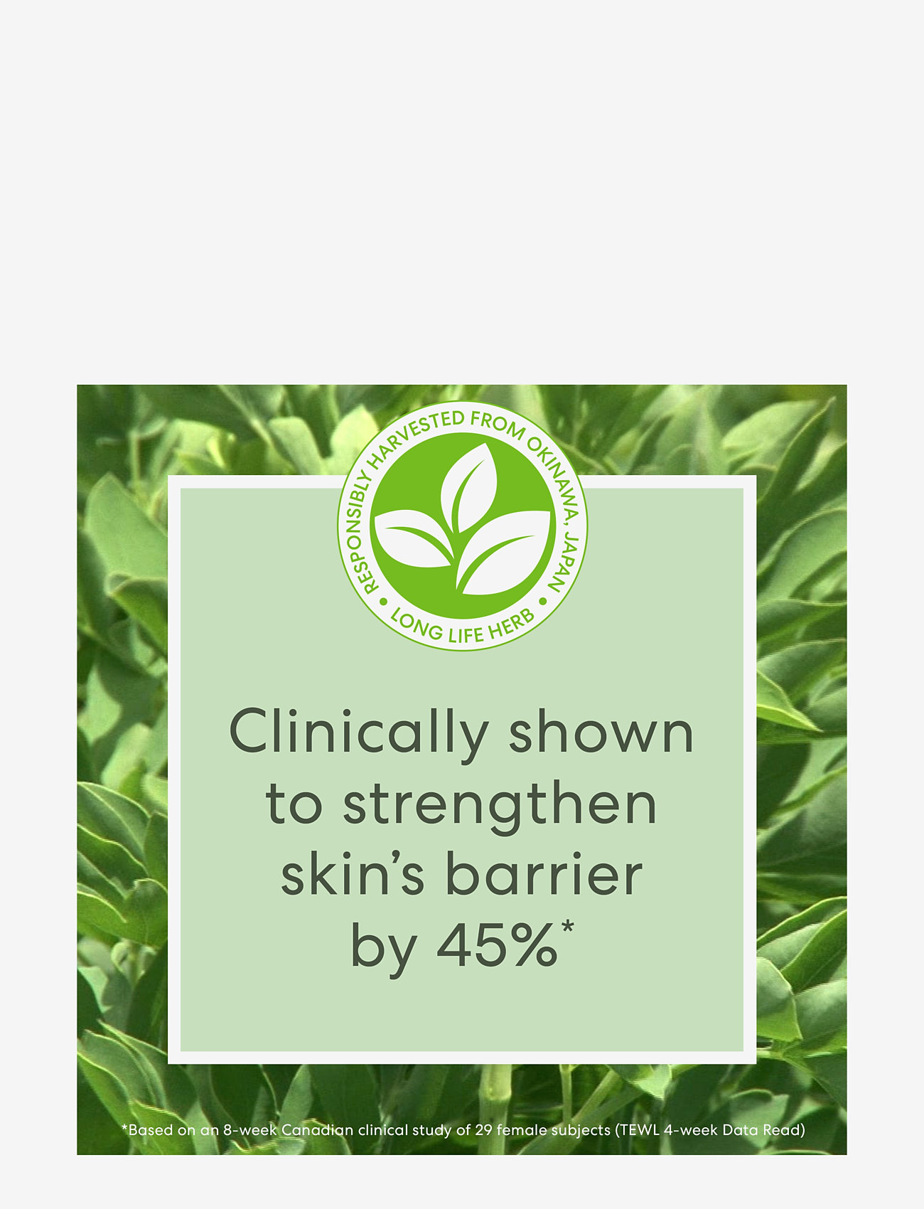 bareMinerals - Skinlongevity Long Life Herb Serum Beauty To Go - reisisuuruses tooted ja komplektid - no colour - 2