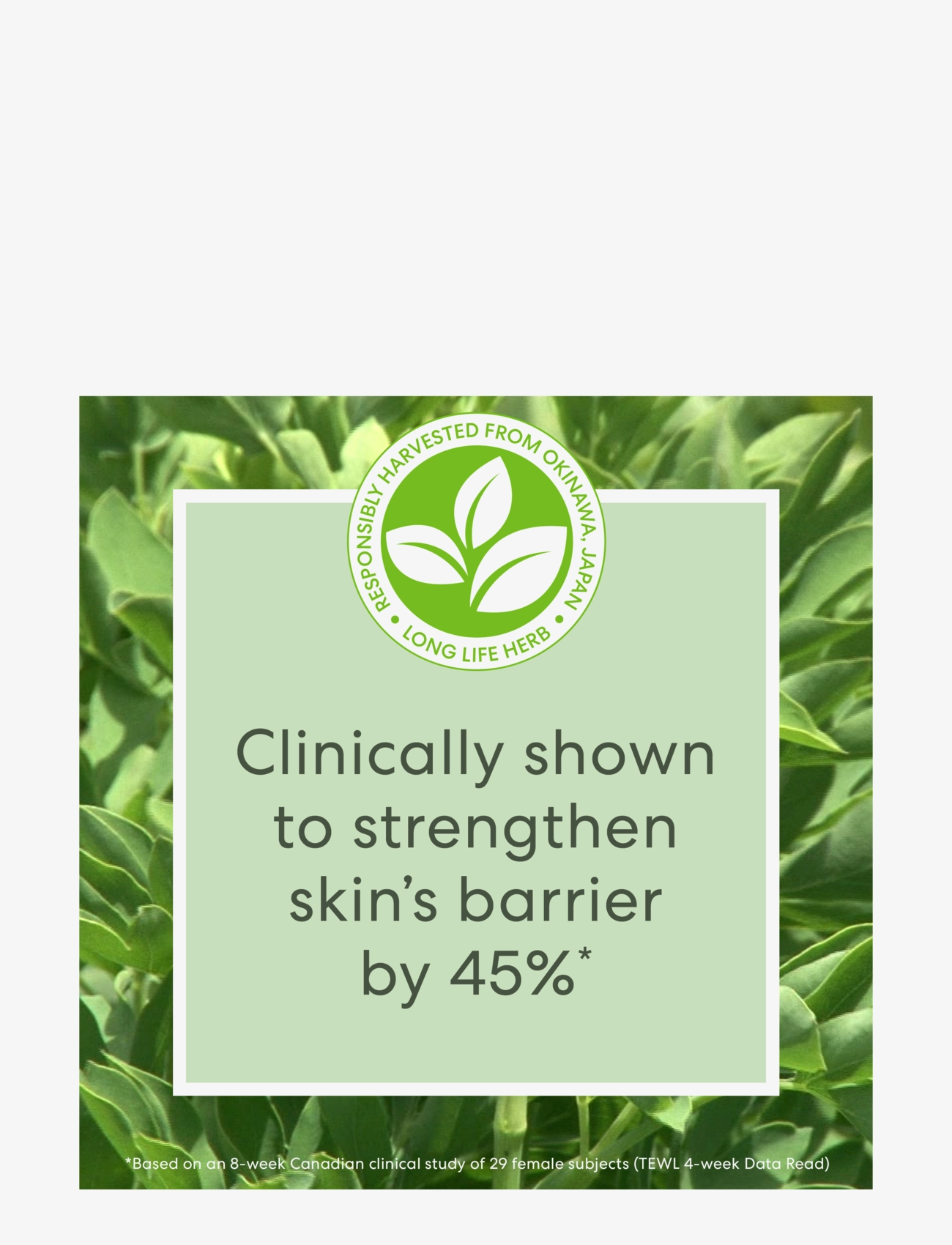 bareMinerals - Skinlongevity Long Life Herb Serum Beauty To Go - hudpleje - no colour - 2
