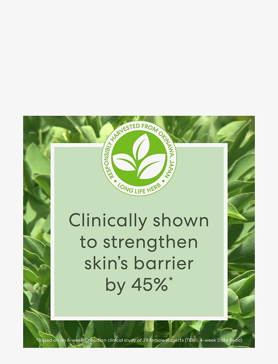bareMinerals - Skinlongevity Long Life Herb Serum Beauty To Go - nahahooldus - no colour - 2