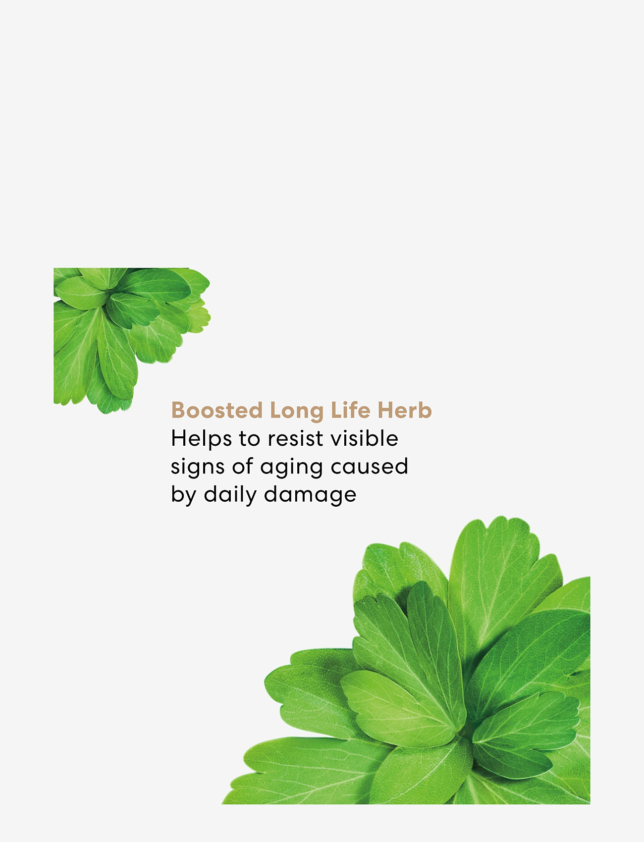 bareMinerals - Skinlongevity Long Life Herb Serum Beauty To Go - reisisuuruses tooted ja komplektid - no colour - 3