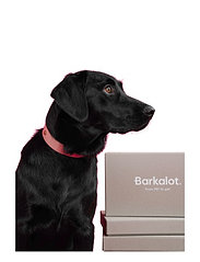 Barkalot - Konny Collar - dog collars - dusty pink - 3