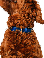 Barkalot - Konny Collar - lowest prices - imperial blue - 4