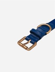 Barkalot - Konny Collar - najniższe ceny - imperial blue - 2