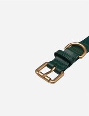 Barkalot - Konny Collar - lowest prices - emerald green - 2