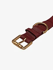 Barkalot - Konny Collar - lowest prices - burgundy - 2