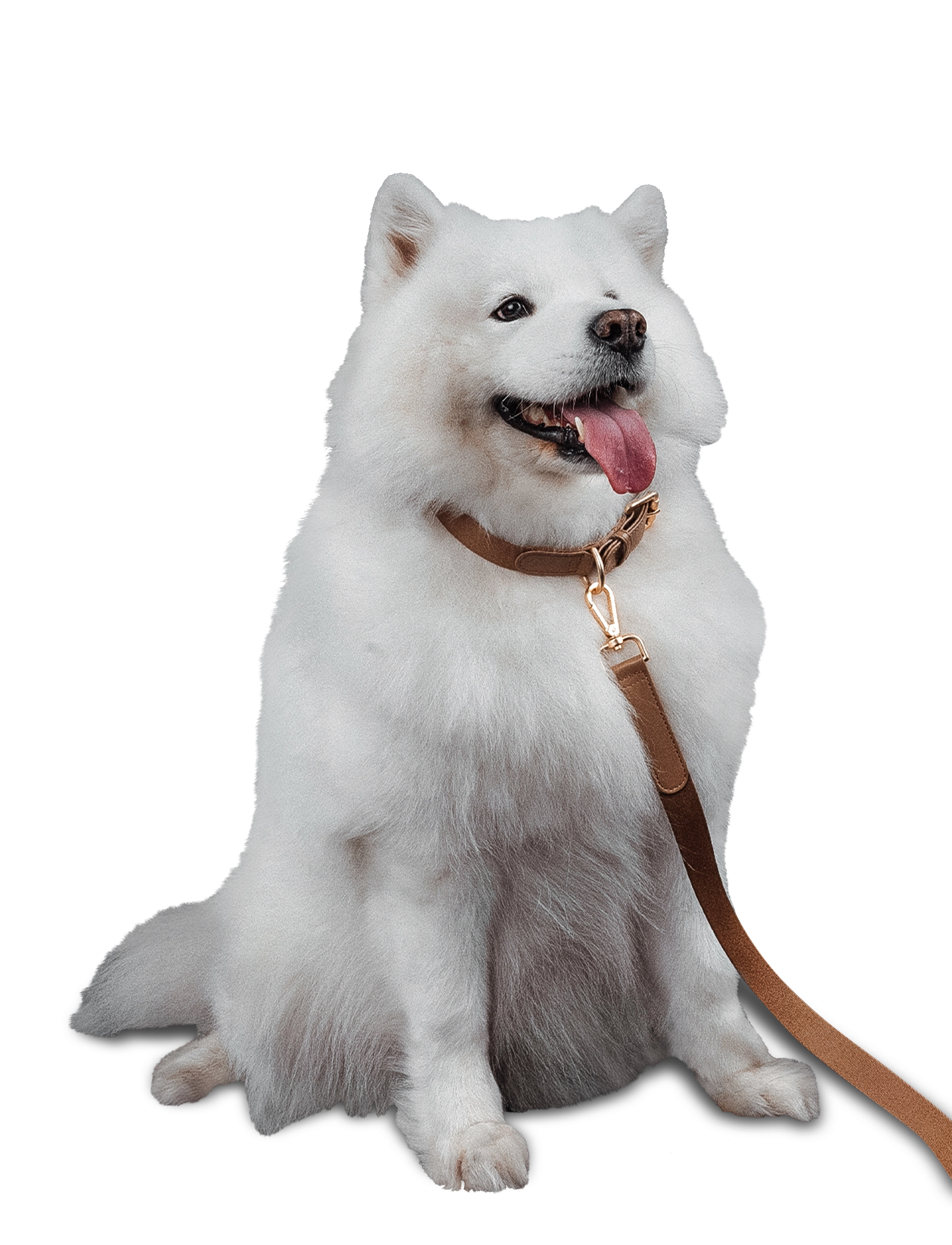 Barkalot - Konny Leash - cinnamon beige - 4