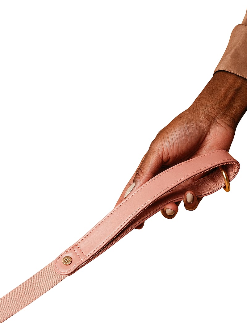 Barkalot - Konny Leash - dusty pink - 4