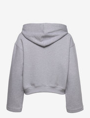 Baum und Pferdgarten - JEROMA BP - sweatshirts en hoodies - grey melange - 1