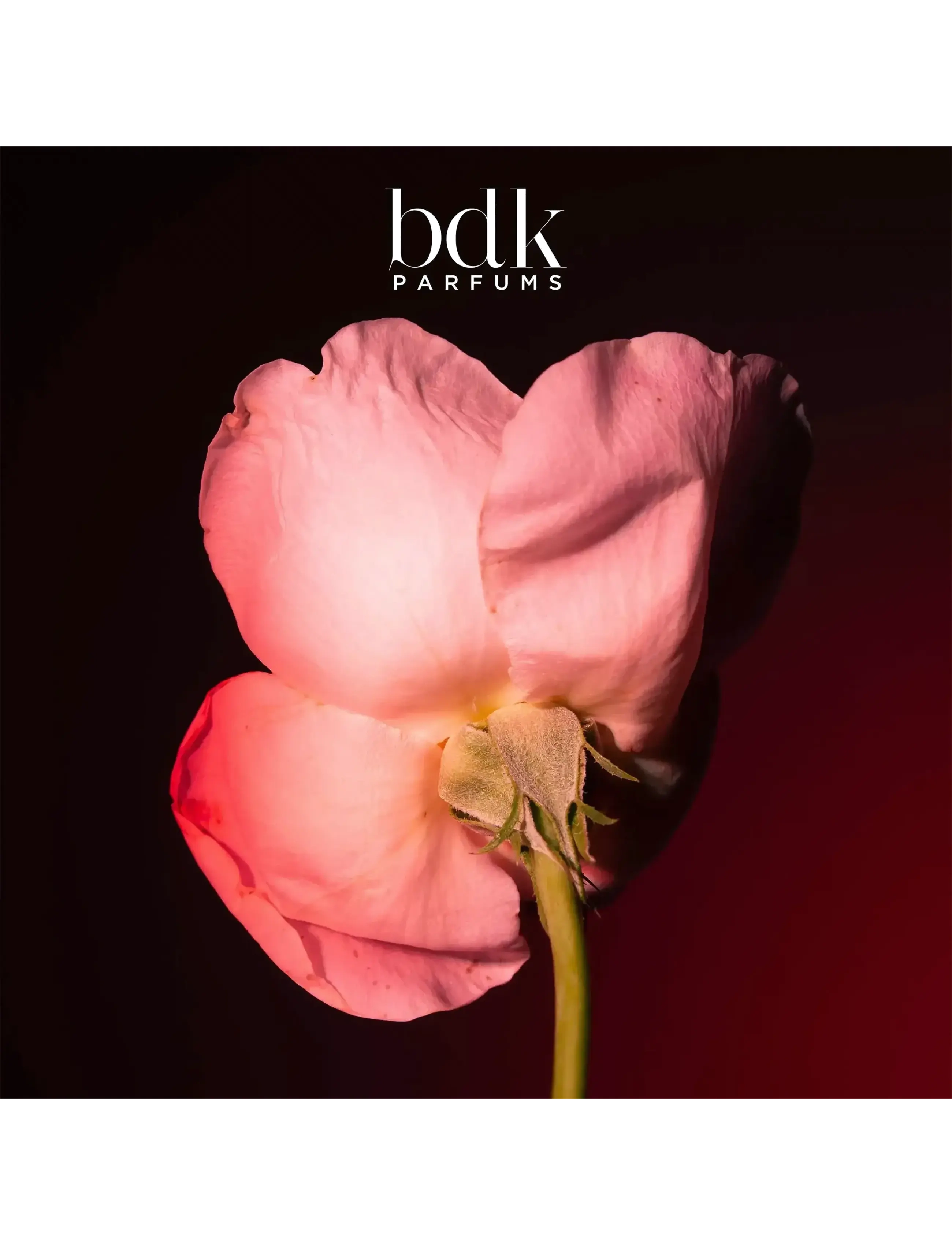 Tabac Rose Edp 6