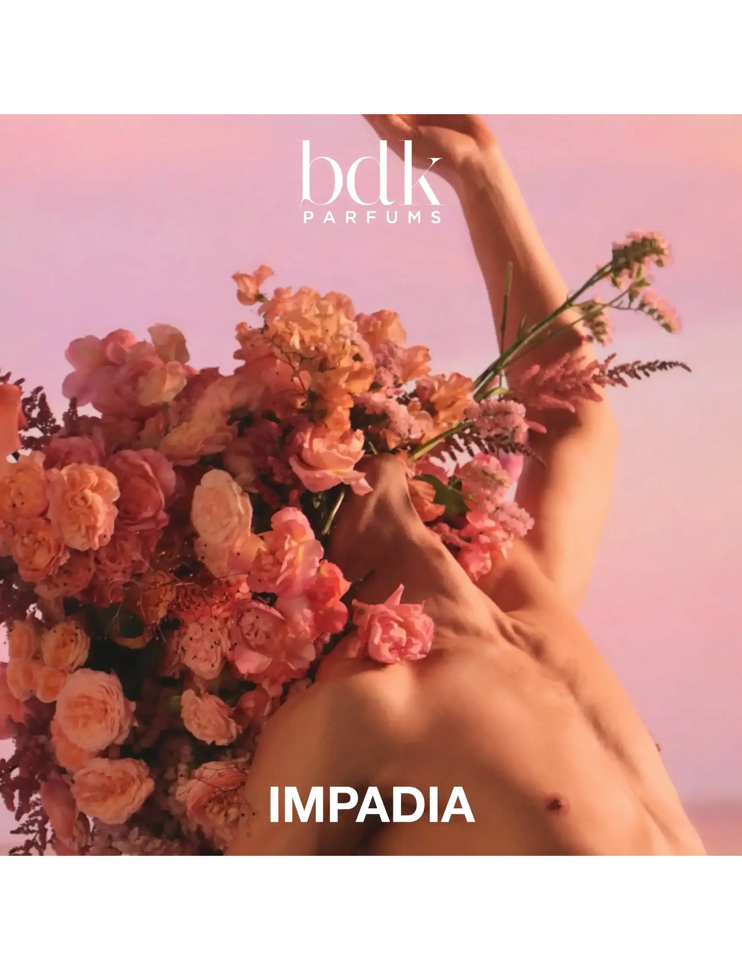 Impadia Edp 5