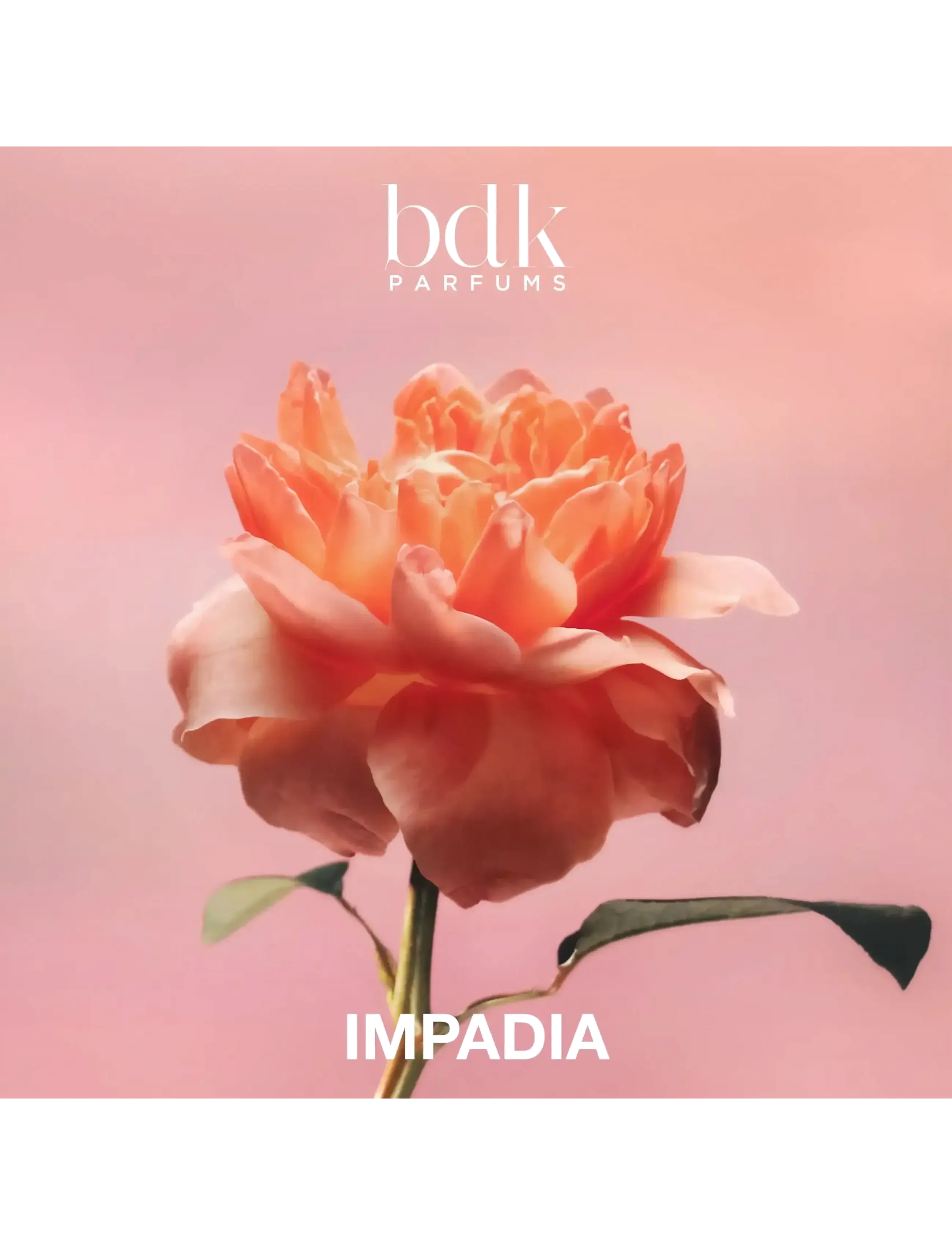 Impadia Edp 6