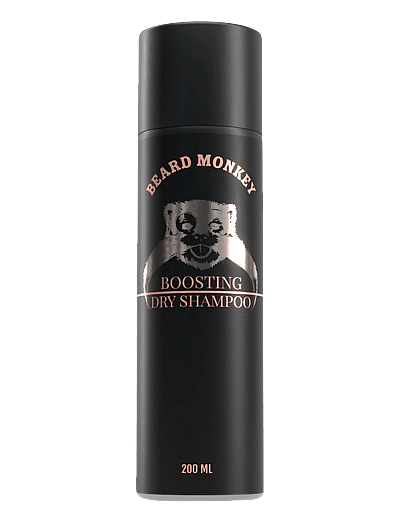 Boosting Dry Shampoo - Volumenspray