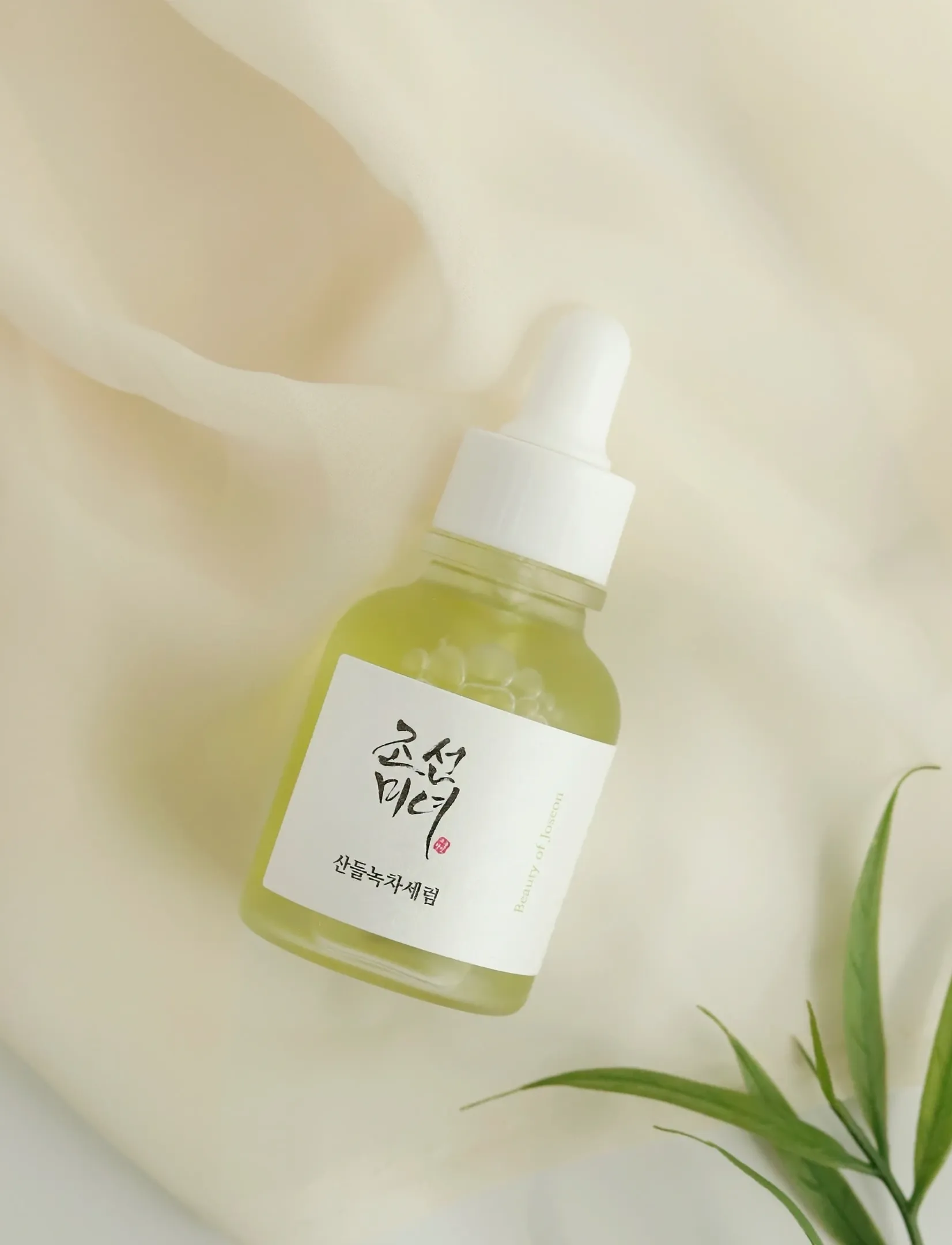 Beauty of Joseon - Calming Serum: Green Tea + Panthenol - seerumid ja õlid - clear - 2