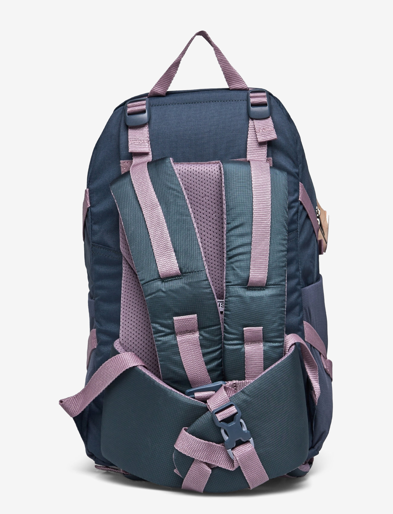 Bergans - Birkebeiner Jr 22 - accessories - orion blue/lilac chalk - 1