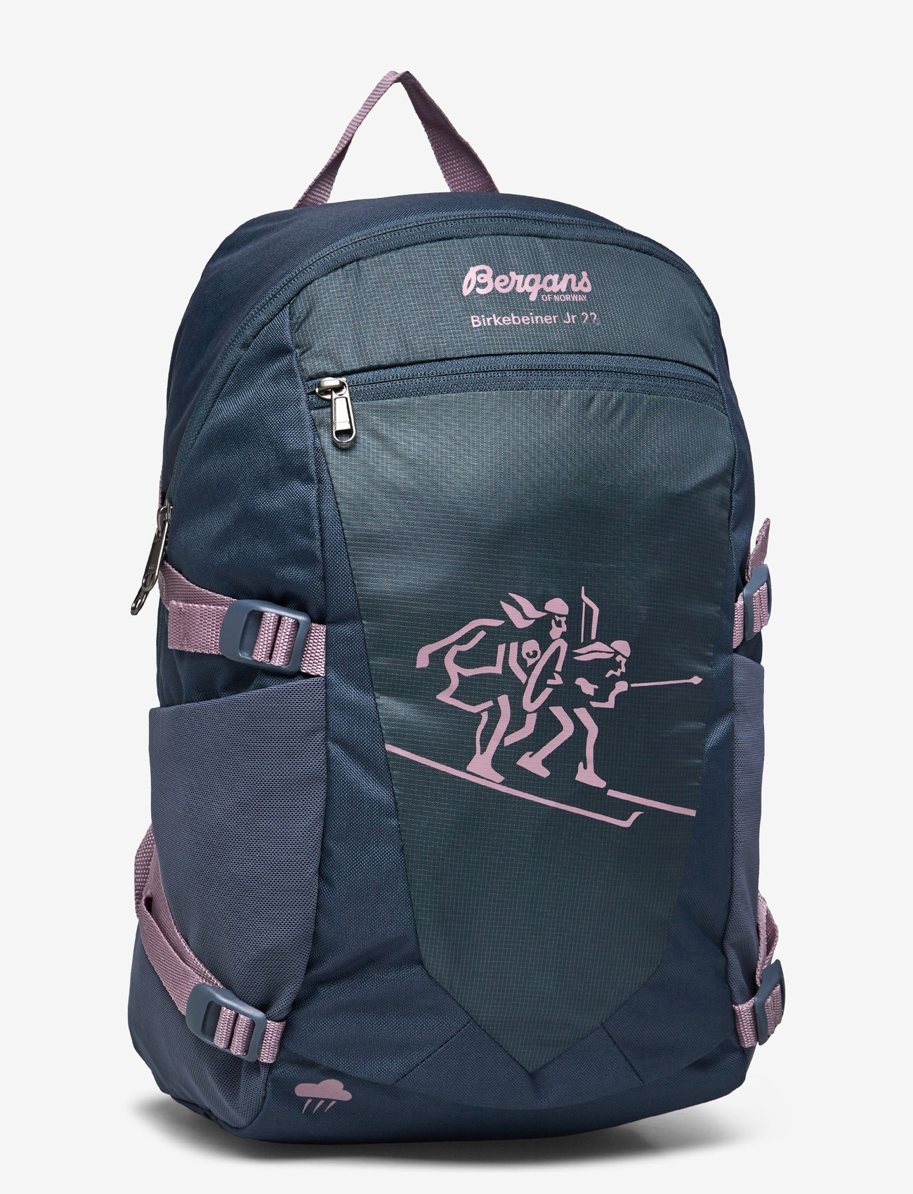 Bergans - Birkebeiner Jr 22 - accessories - orion blue/lilac chalk - 2