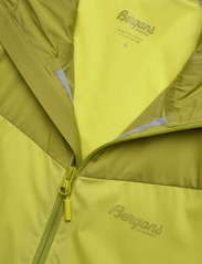 Bergans - Microlight Jacket - frilufts- & regnjakker - green oasis/dark green oasis - 2