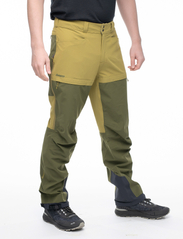 Bergans - Bekkely Hybrid Pants - bikses āra aktivitātēm - olive green/dark olive green - 5