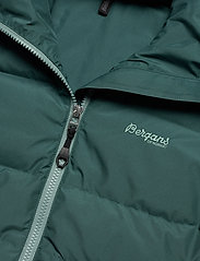 Bergans - Stranda Down Hybrid W Jkt ForestFrost M - ski jackets - forestfrost - 4