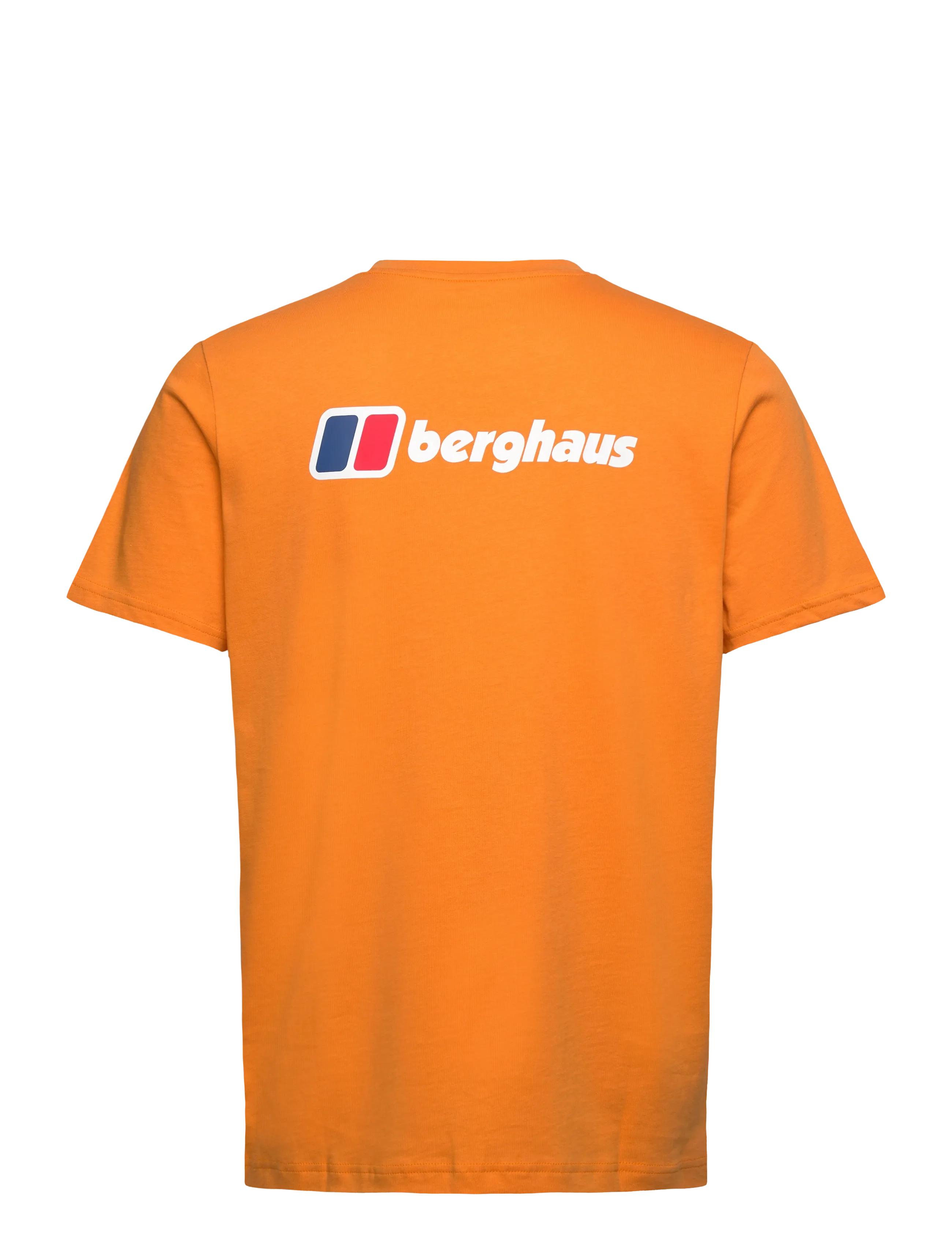 Berghaus - BG M BERGHAUS FRONT & BACK TEE - oberteile & t-shirts - copper beech - 2