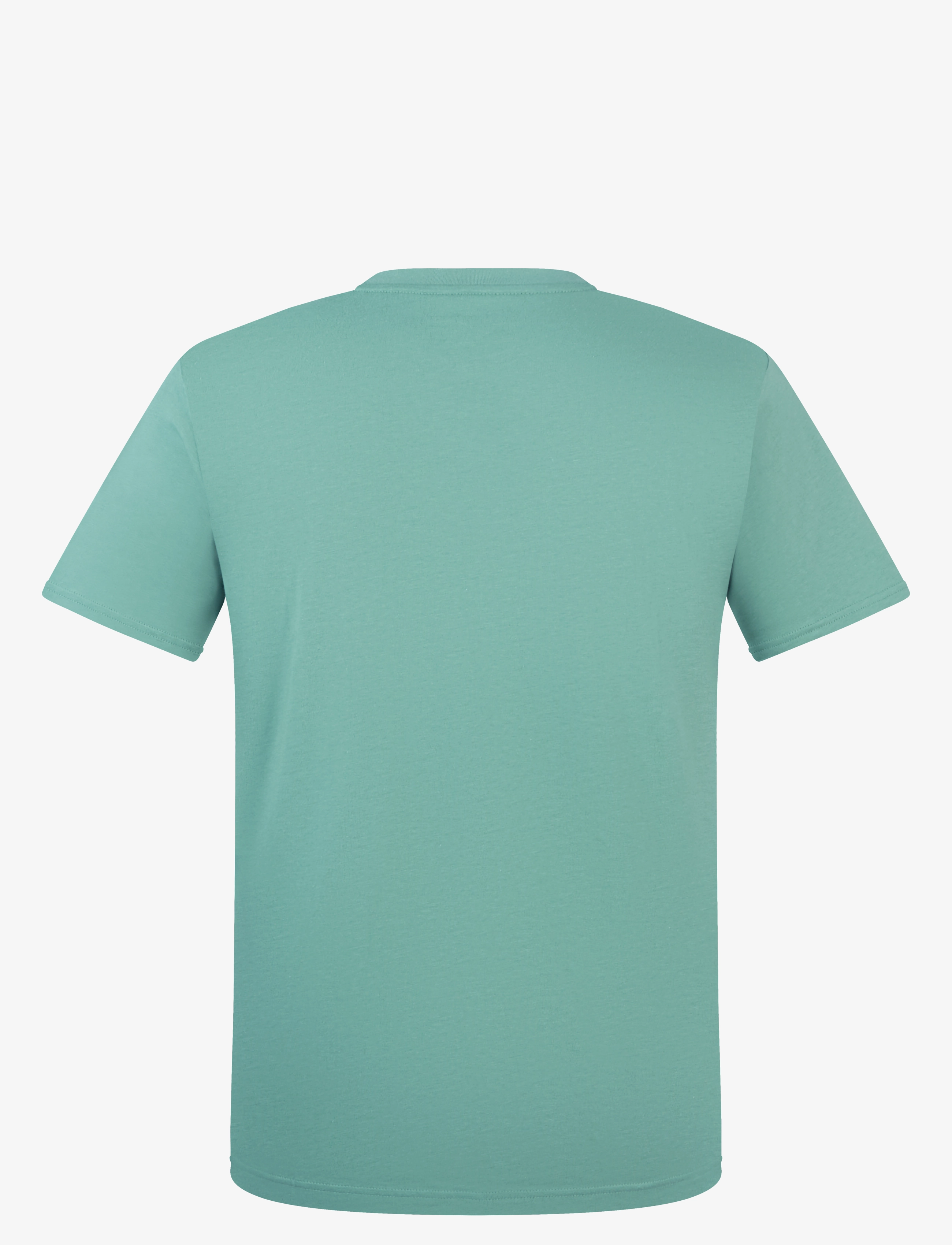 Berghaus - BG M BERGHAUS CLASS XL-LOGO TEE - light terrain - 2