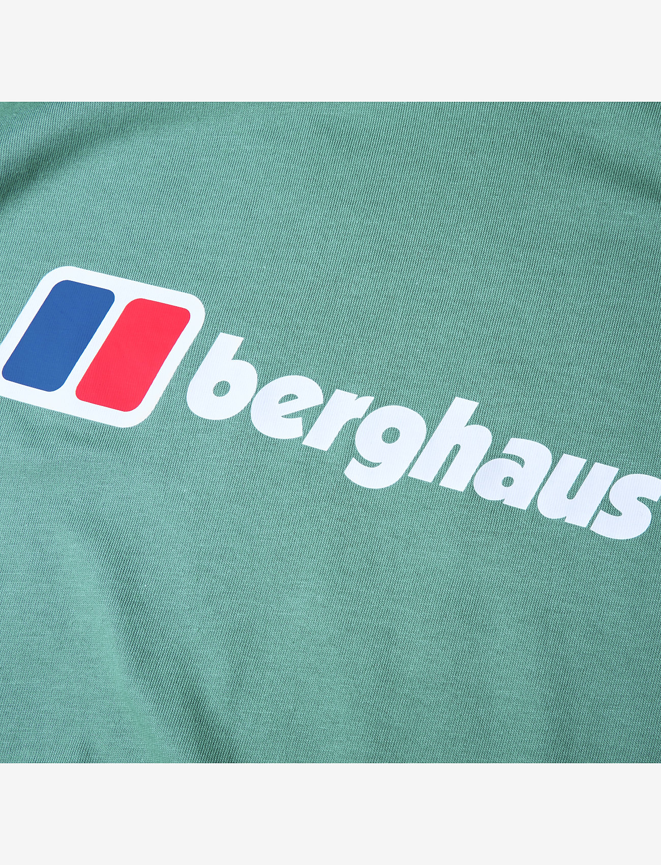 Berghaus - BG M BERGHAUS CLASS XL-LOGO TEE - light terrain - 3