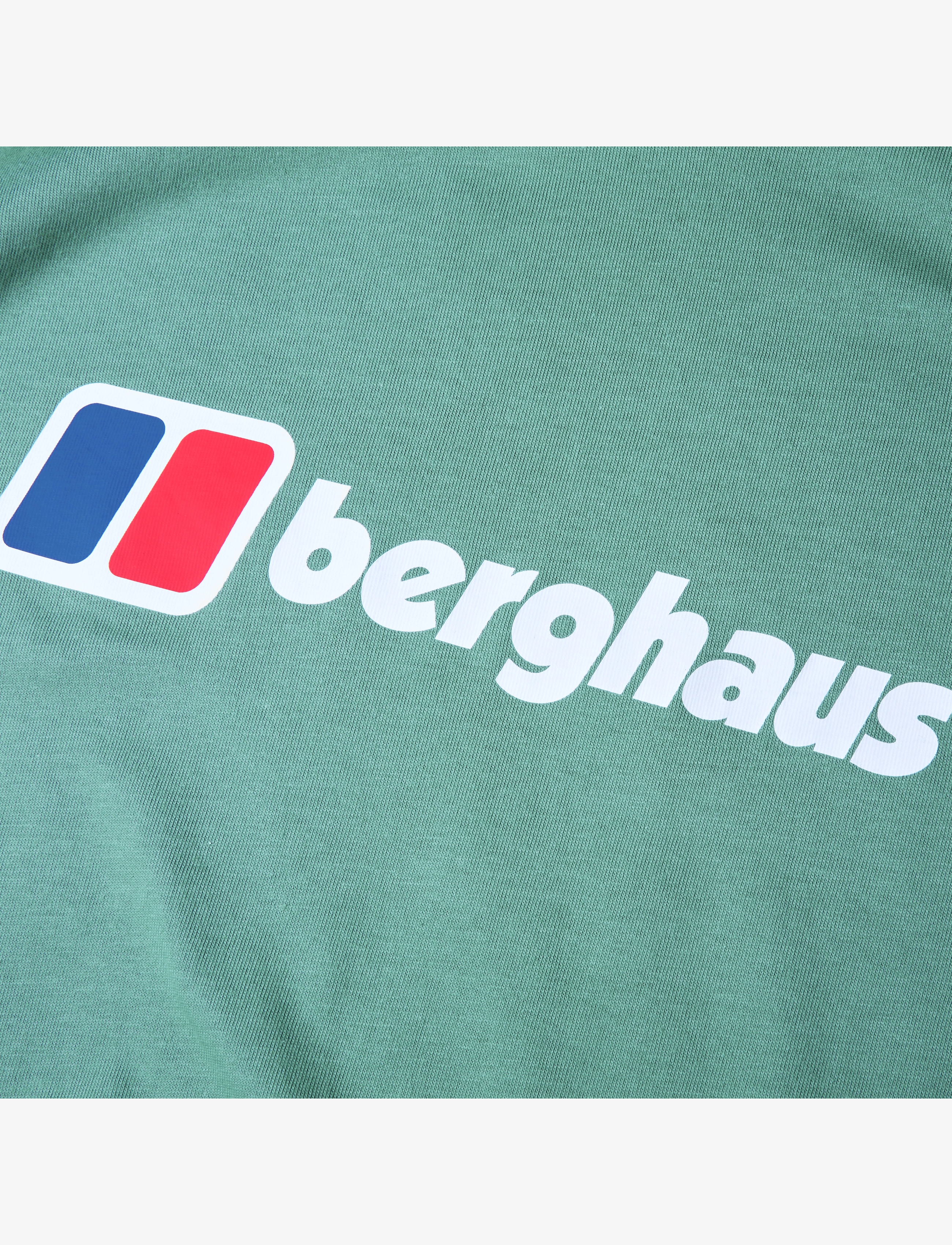 Berghaus - BG M BERGHAUS CLASS XL-LOGO TEE - light terrain - 3