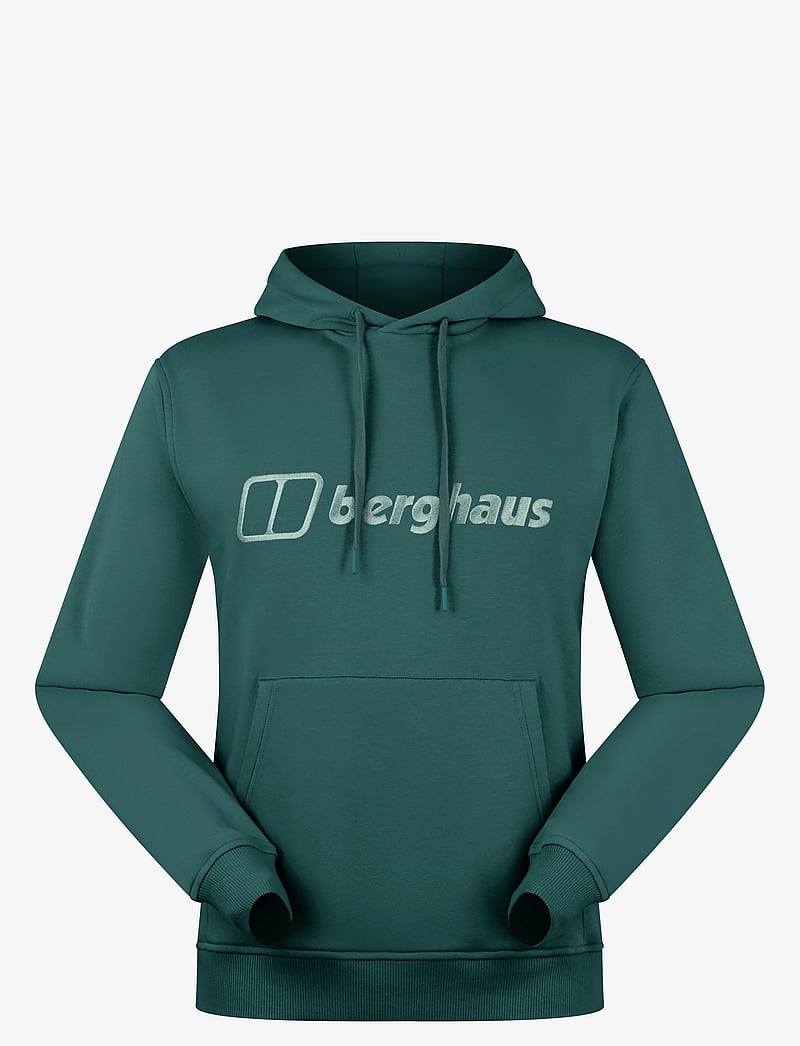 Berghaus - BG M LOGO HOODY LIGHT - oberteile - peak - 1
