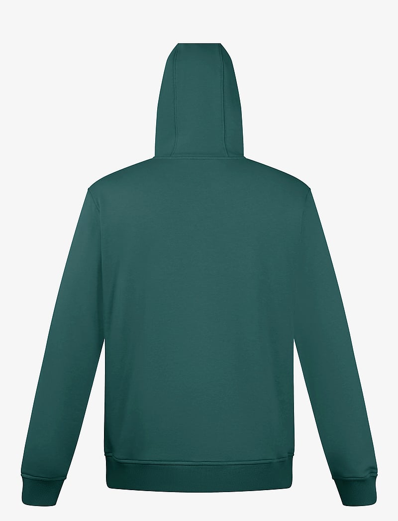 Berghaus - BG M LOGO HOODY LIGHT - oberteile - peak - 2