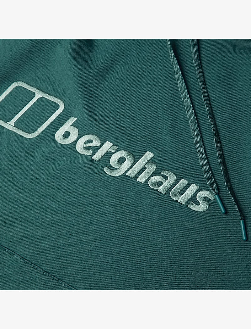 Berghaus - BG M LOGO HOODY LIGHT - oberteile - peak - 3