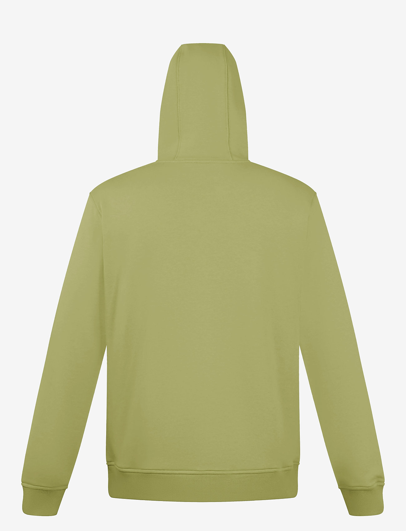 Berghaus - BG M LOGO HOODY LIGHT - oberteile - dapple - 1