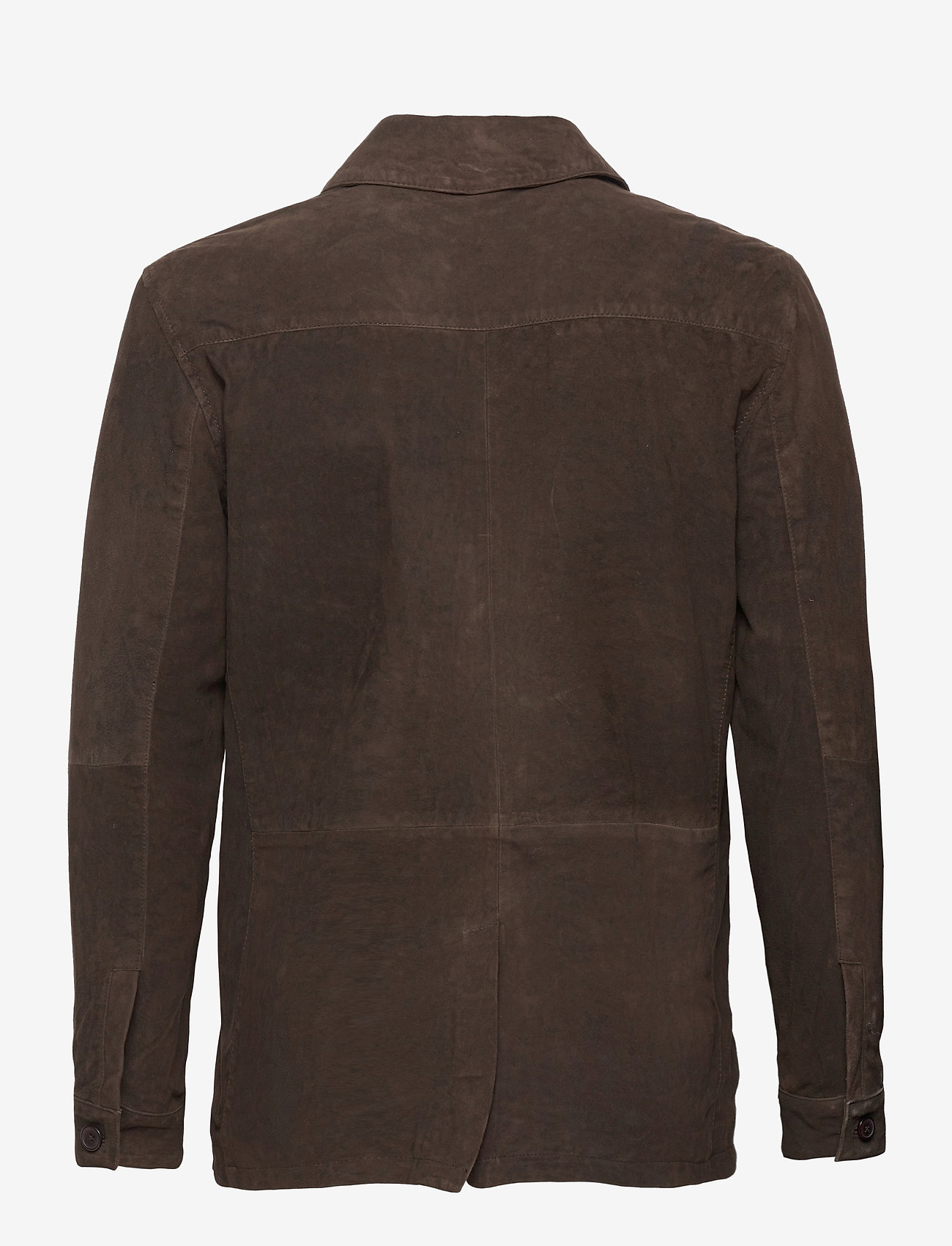 Bertoni - Bregninge - 890 coffee bean - 1