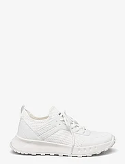Bianco - BIALAUREN Laceup Sneaker Flyknit - madala säärega tossud - off white - 1