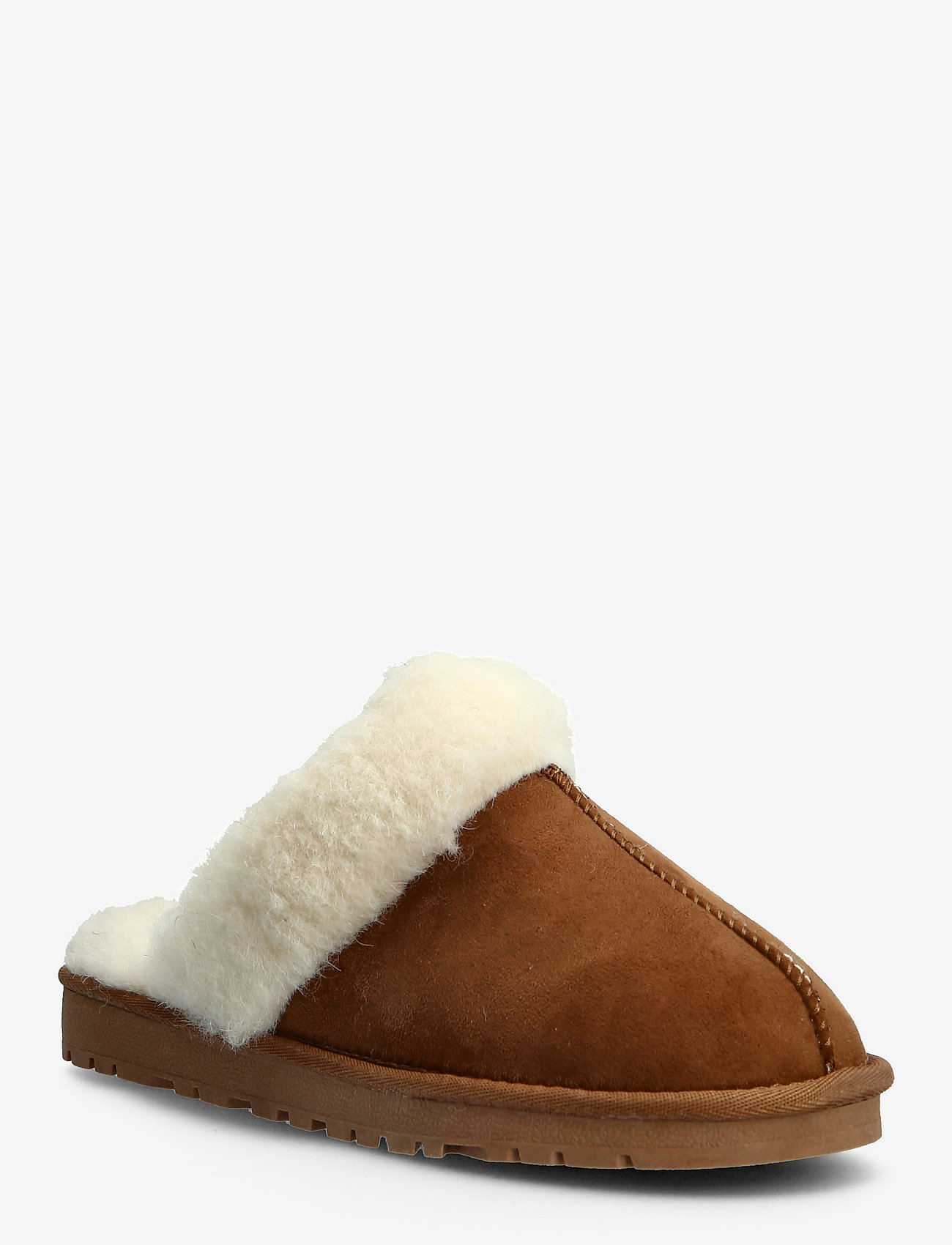 CAMEL 1