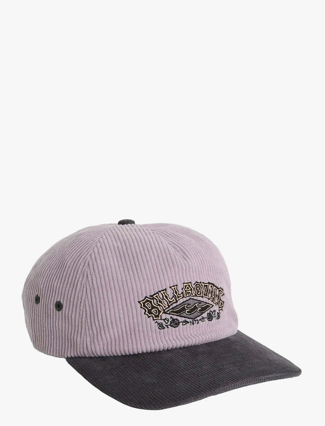 Billabong - HERITAGE STRAPBACK - caps - quail - 3